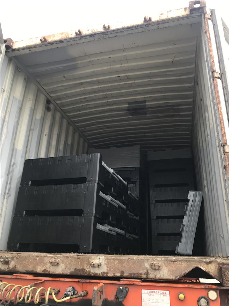 collapsible pallet box shipment to SG 01