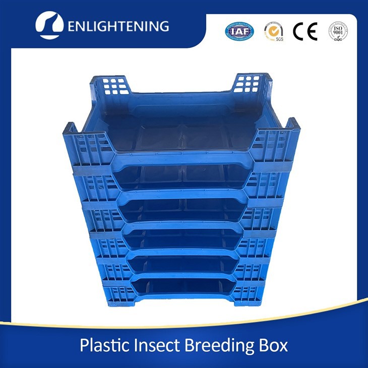 Maggot Box factory