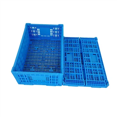 Caisse pliante effondrée en plastique